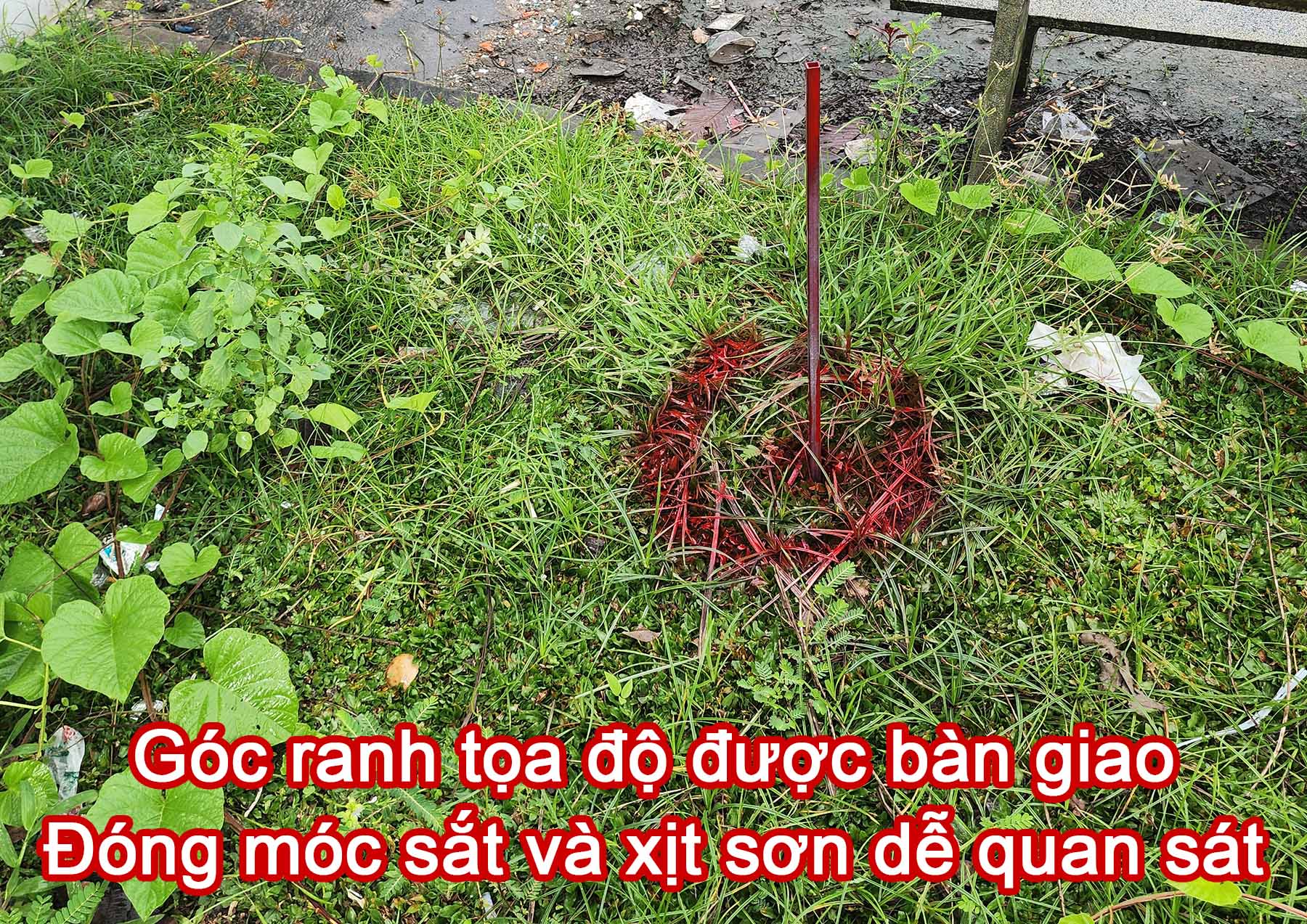 Góc ranh đất được bàn giao sau khi định vị tọa độ.jpg (739 KB)