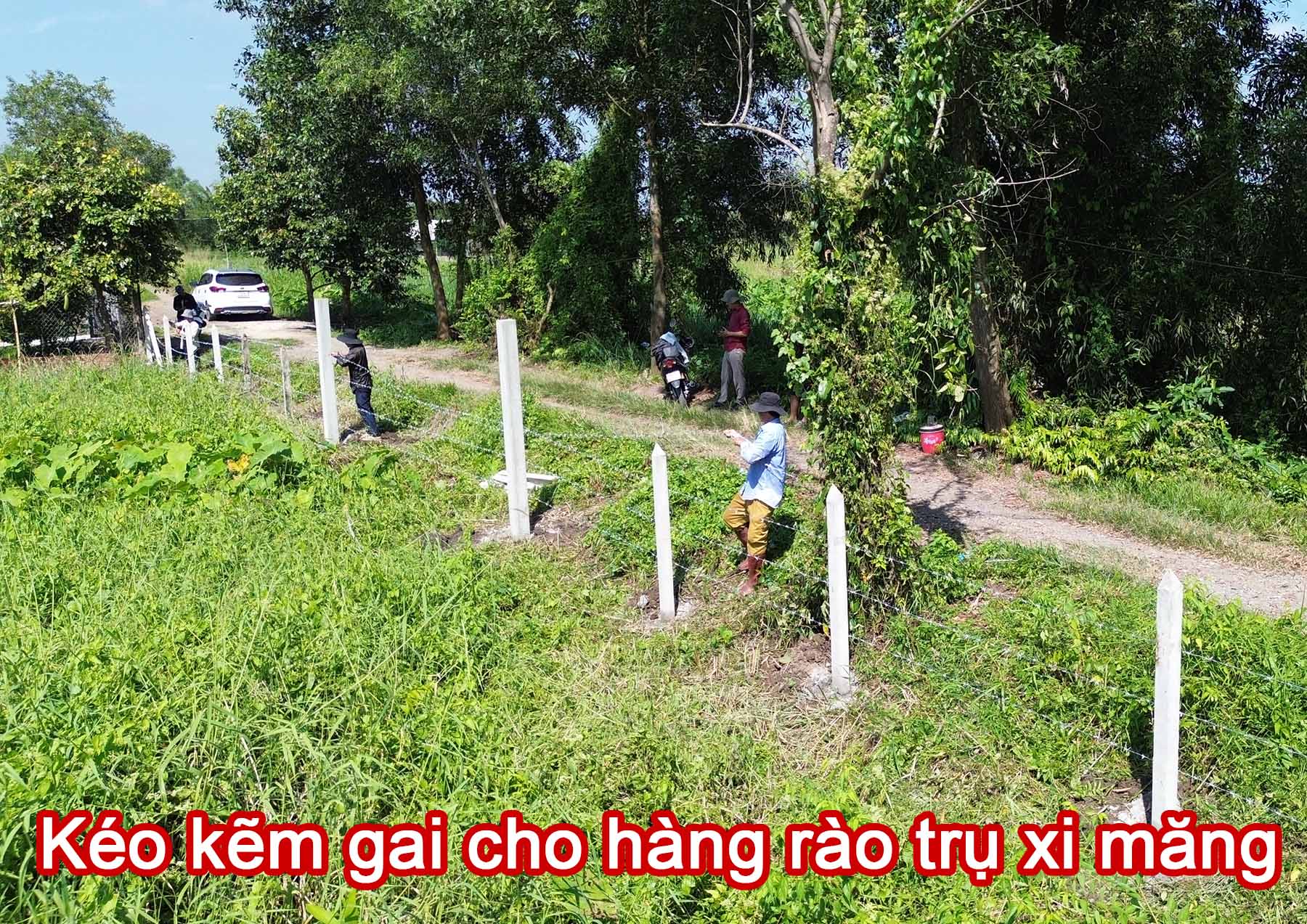 Kéo kẽm gai cho hàng rào trụ xi măng.jpg (605 KB)