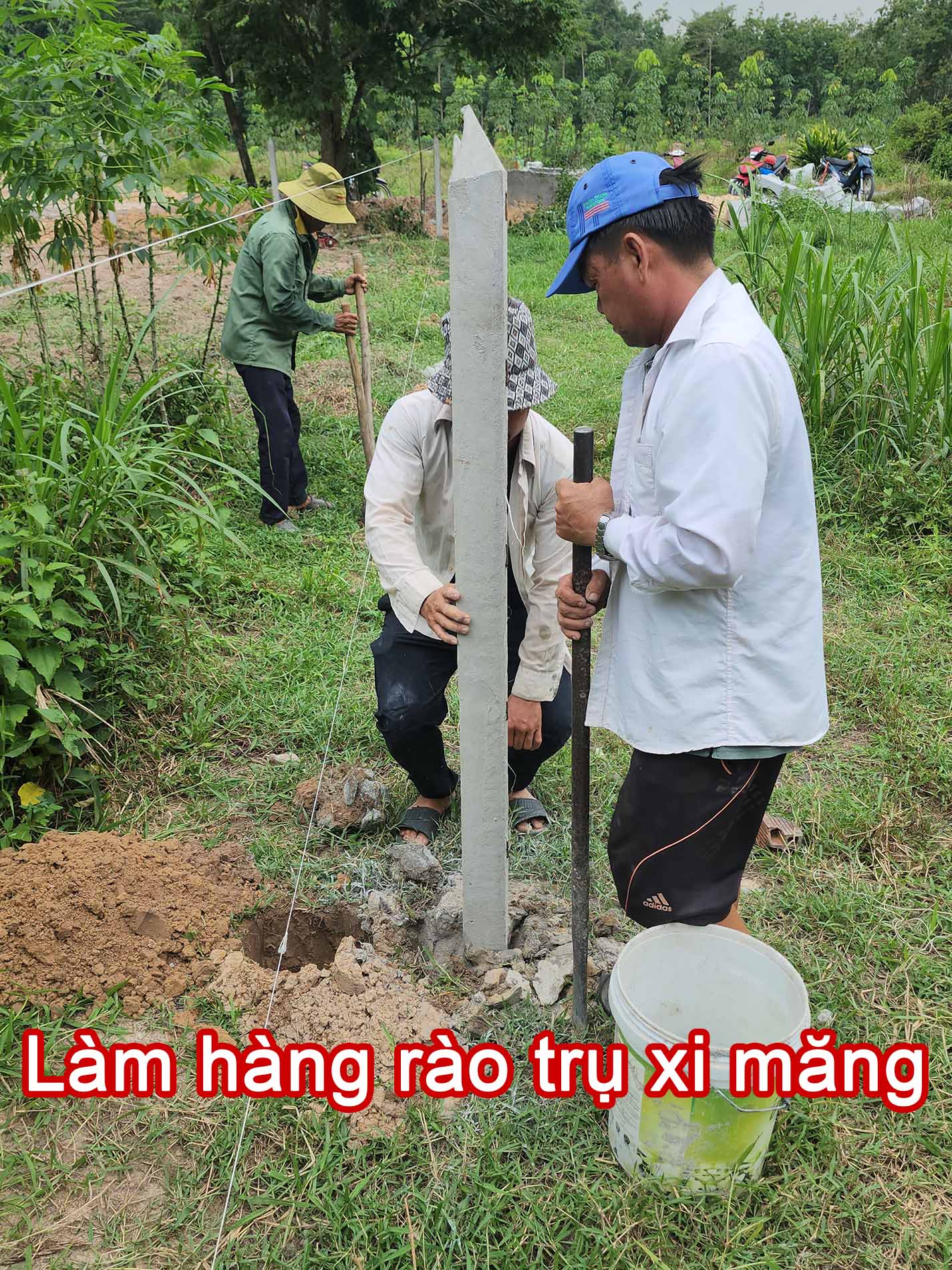 Làm hàng rào trụ xi măng.jpg (578 KB)