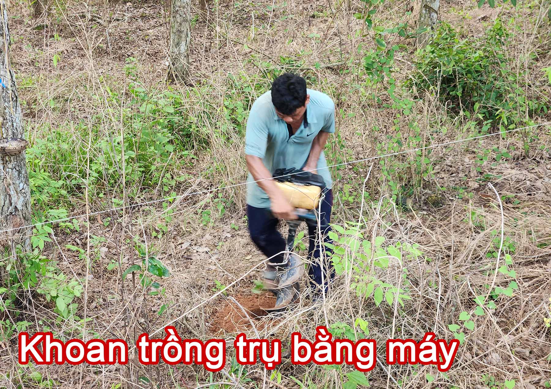Khoan lỗ trồng trụ xi măng bằng máy.jpg (626 KB)
