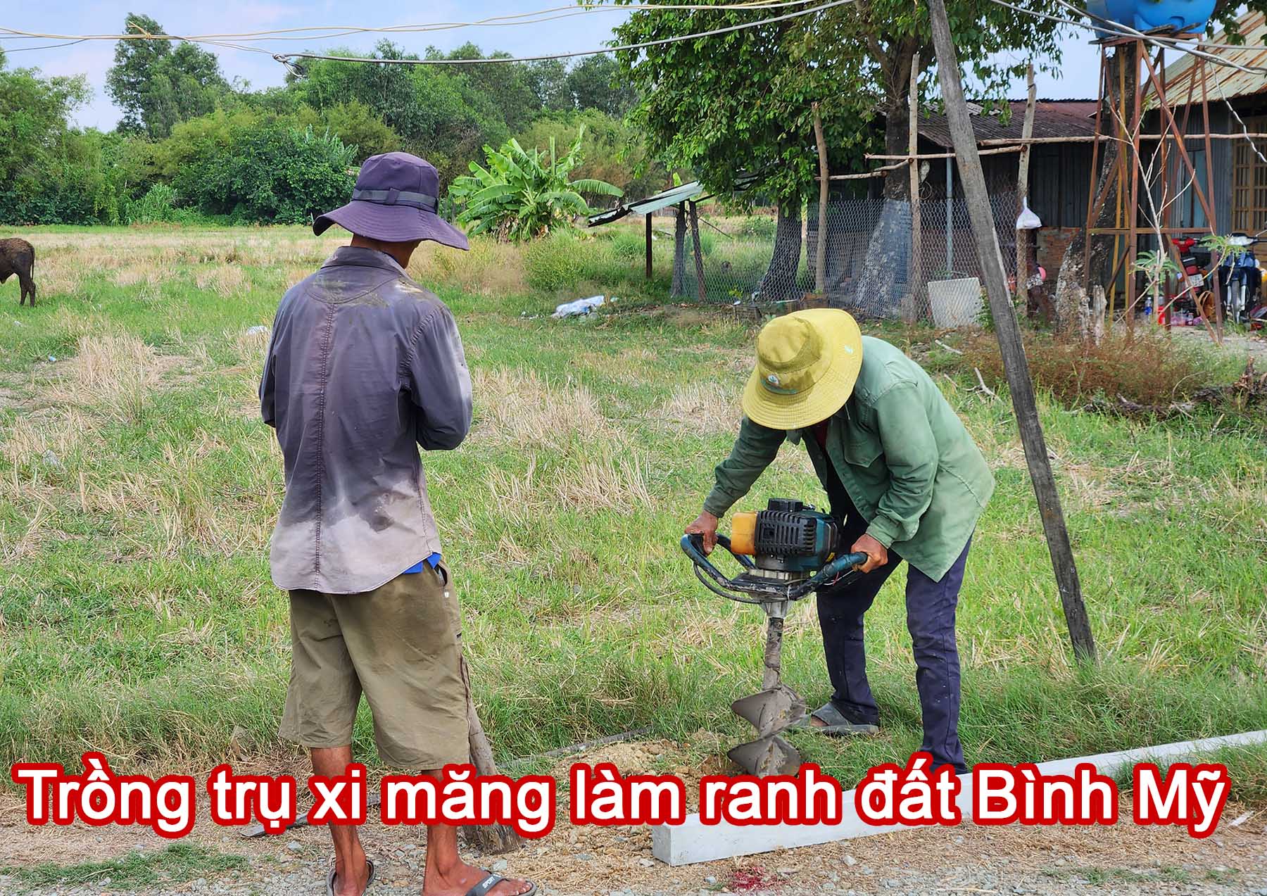 Trồng trụ xi măng làm ranh đất Bình Mỹ.jpg (545 KB)