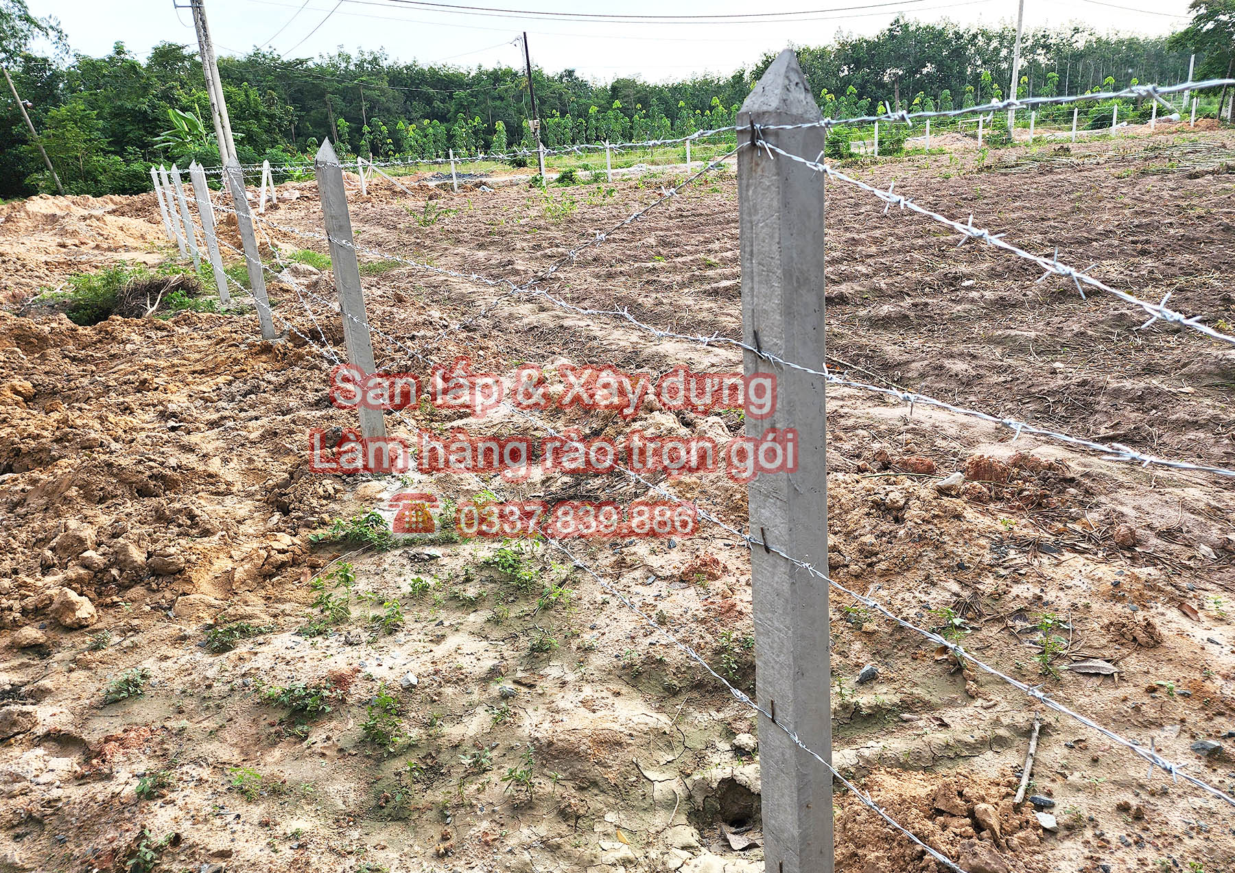 Hàng rào kẽm gai 4 hàng kẽm 1 đường chéo.jpg (1.05 MB)