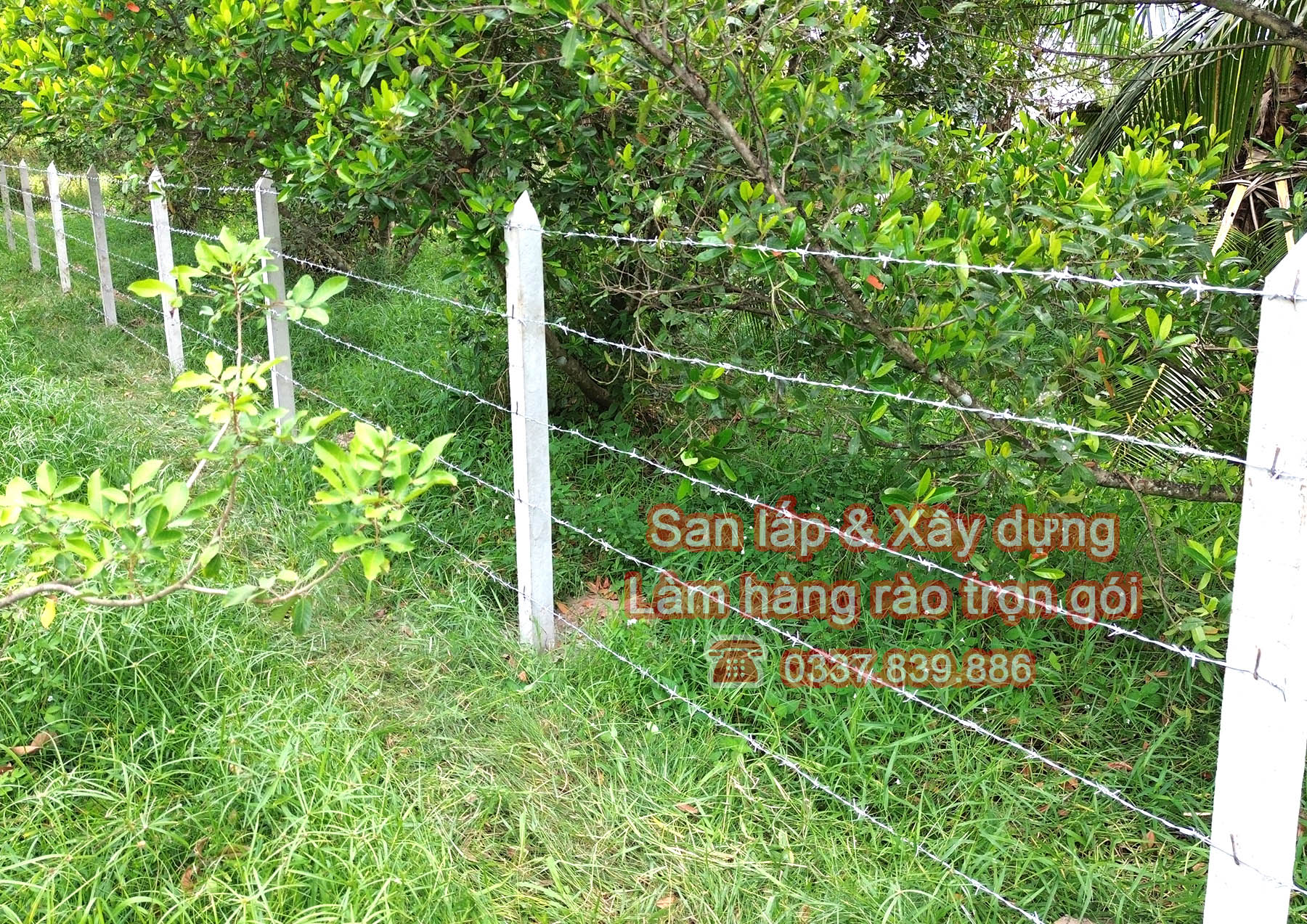 Xây dựng hàng rào kẽm gai bảo vệ vườn cây ăn trái.jpg (820 KB)