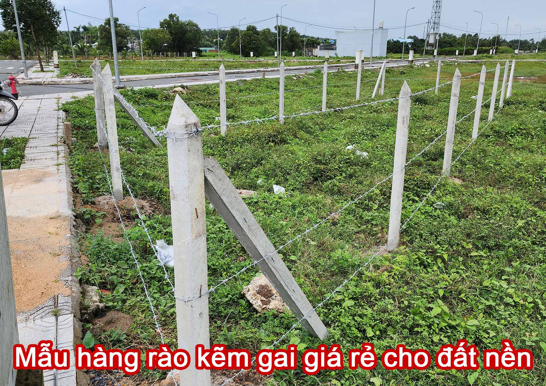 Mẫu hàng rào kẽm gai giá rẻ cho đất nền.jpg (669 KB)