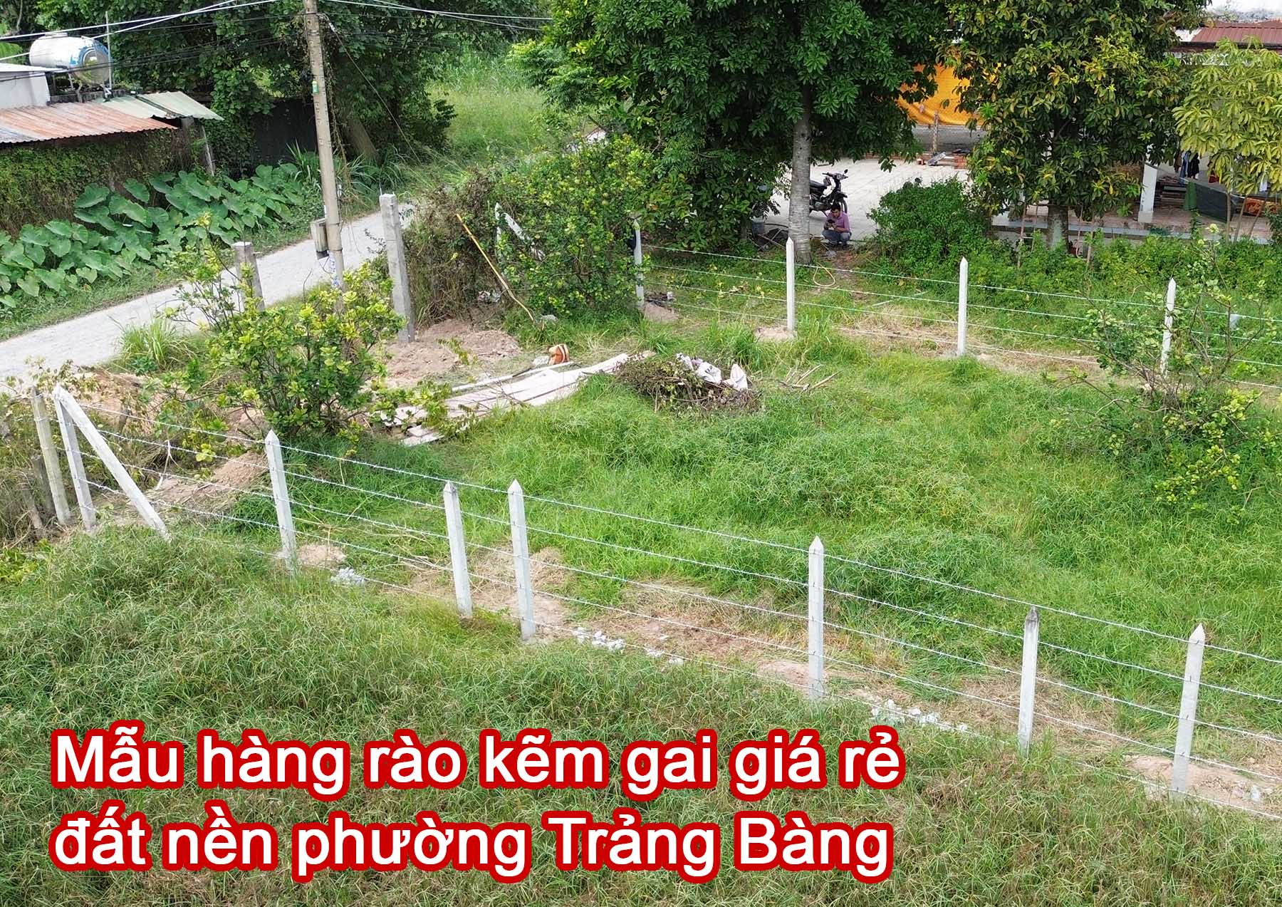 Mẫu hàng rào kẽm gai giá rẻ cho đất nền phường Trảng Bàng.jpg (600 KB)
