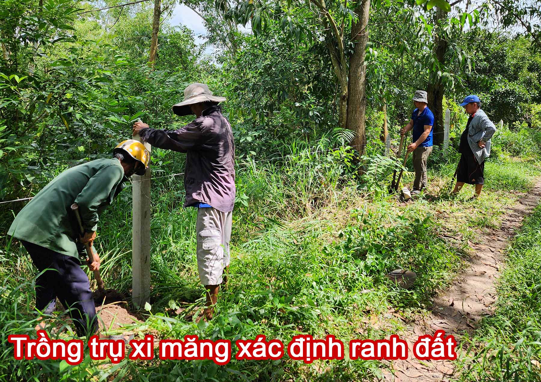 Trồng trụ xi măng xác định ranh đất.jpg (696 KB)