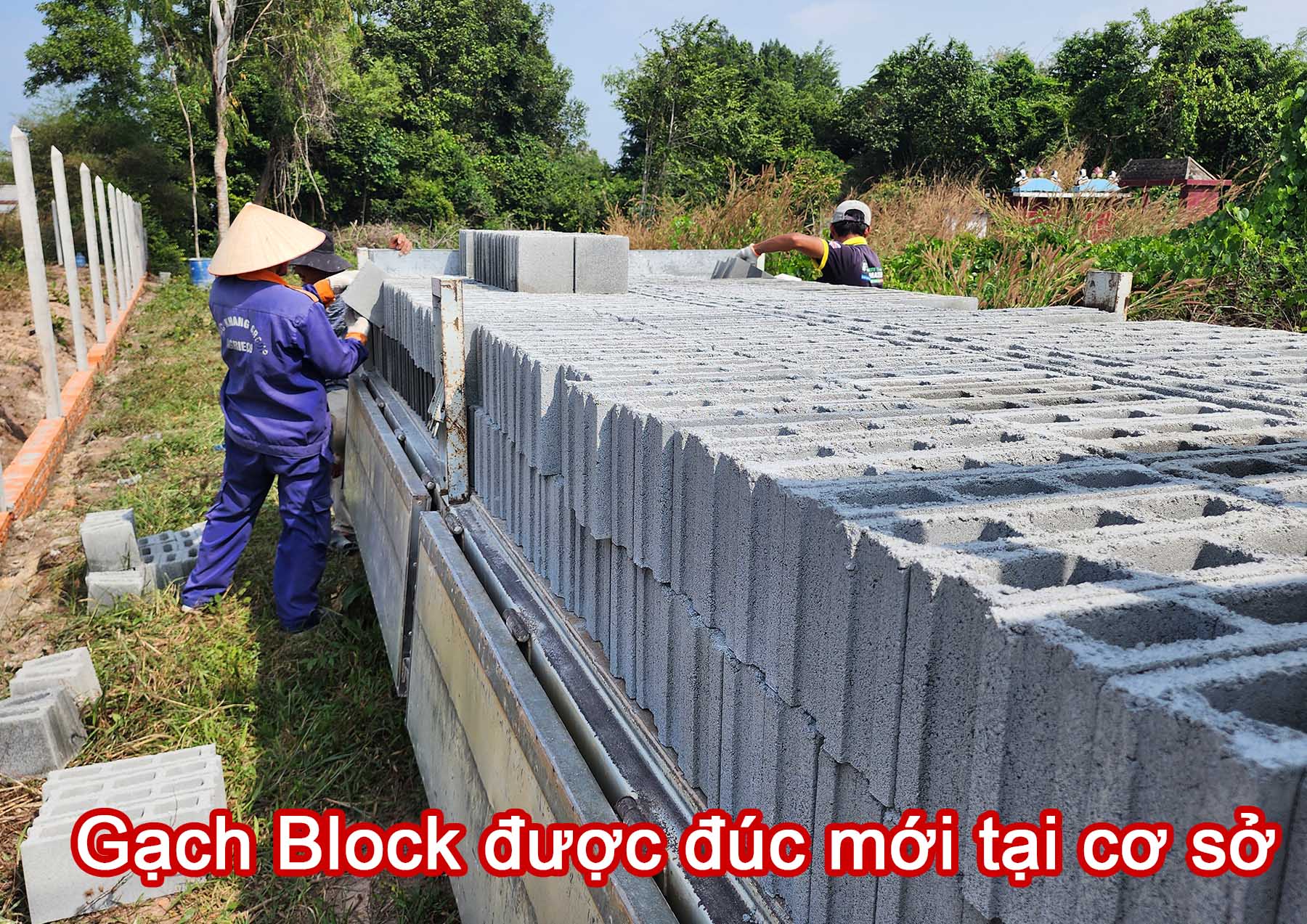 Gạch Block được đúc mới tại cơ sở.jpg (502 KB)
